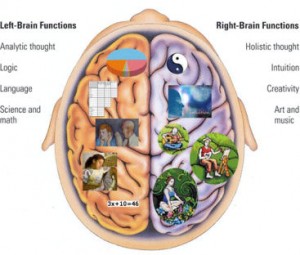 Left Brain_ Right Brain